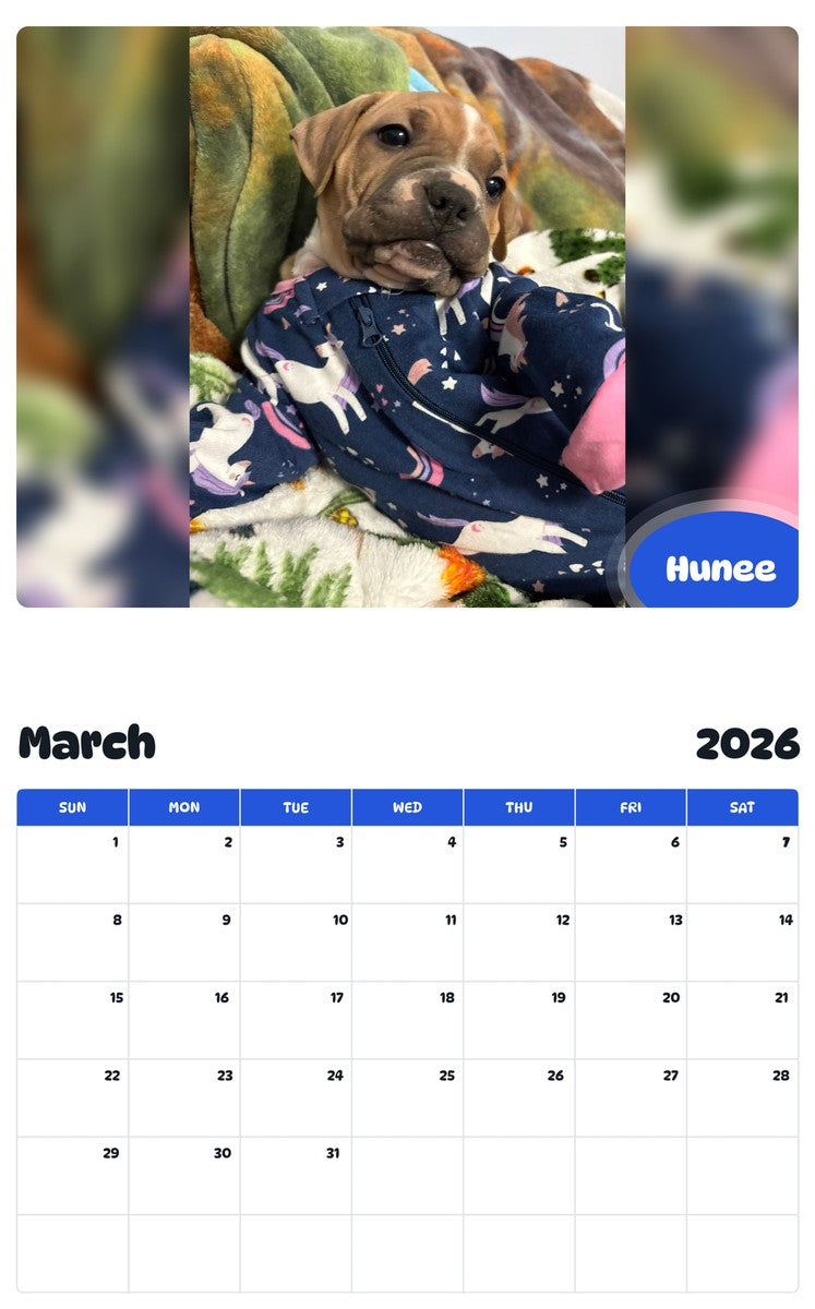 November 2025 - October 2026 Hunee - Pawidols Pet Calendar