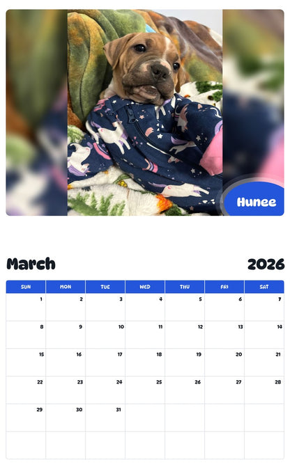 November 2025 - October 2026 Hunee - Pawidols Pet Calendar