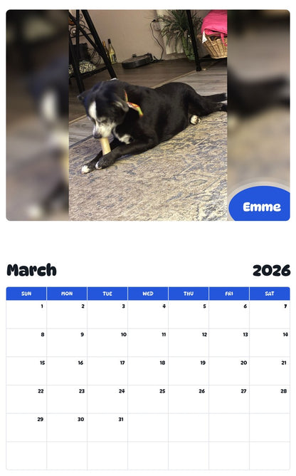 November 2025 - October 2026 Emme - Pawidols Pet Calendar