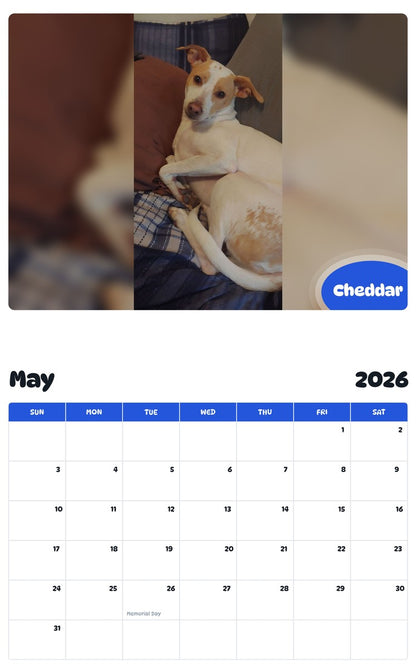 2026 - 2027 Cheddar - Pawidols Pet Calendar