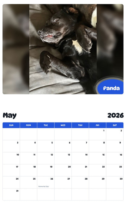2026 - 2027 Panda - Pawidols Pet Calendar