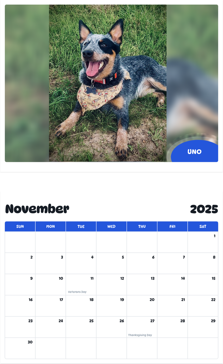 July 2025 - June 2026 Uno - Pawidols Pet Calendar