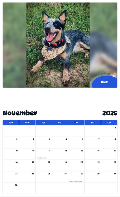July 2025 - June 2026 Uno - Pawidols Pet Calendar