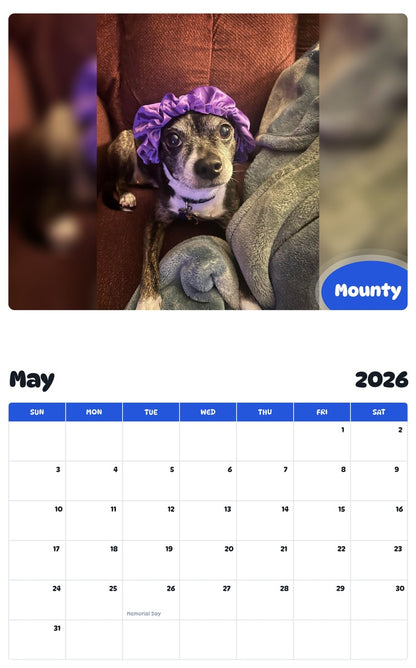 2026 - 2027 Mounty - Pawidols Pet Calendar
