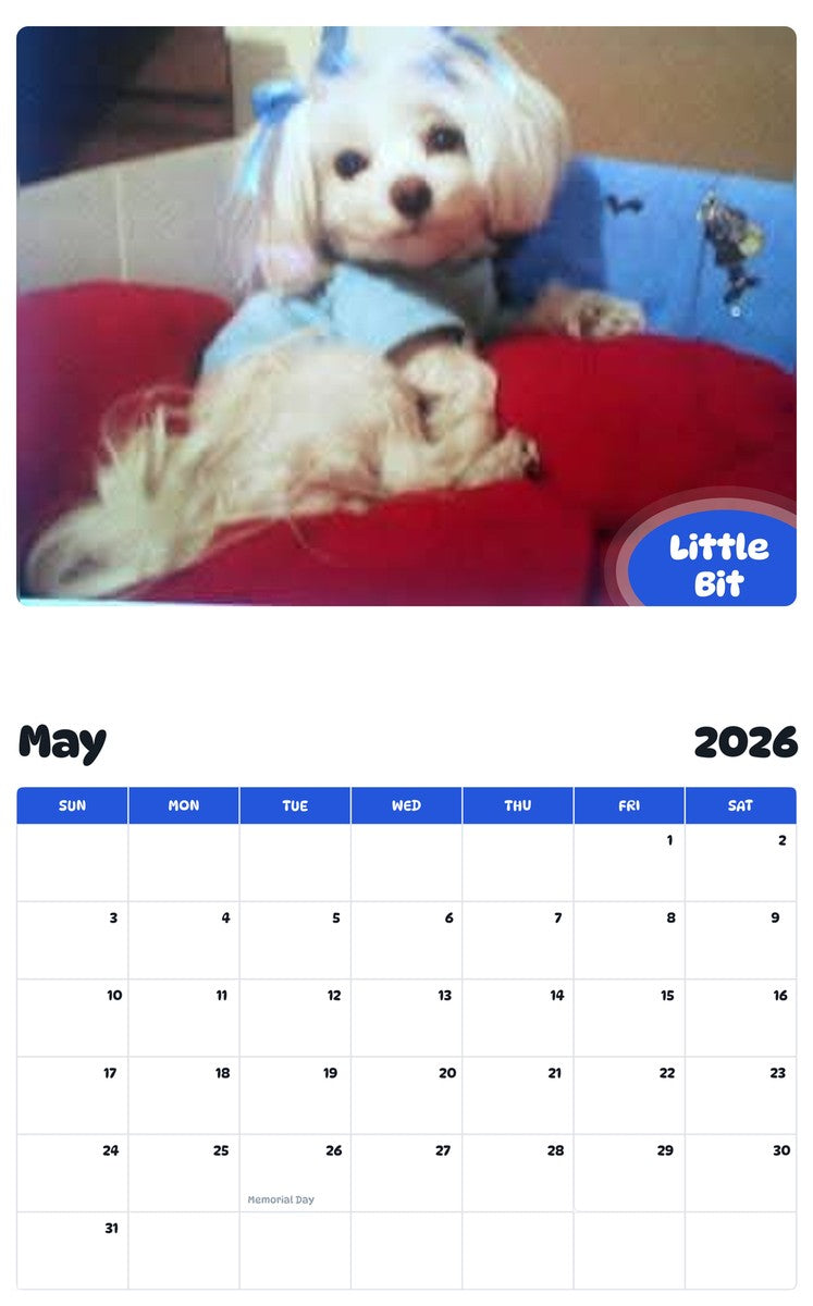 2026 - 2027 Little Bit - Pawidols Pet Calendar