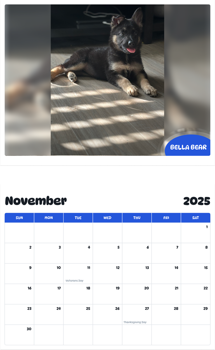 July 2025 - June 2026 Bella bear - Pawidols Pet Calendar