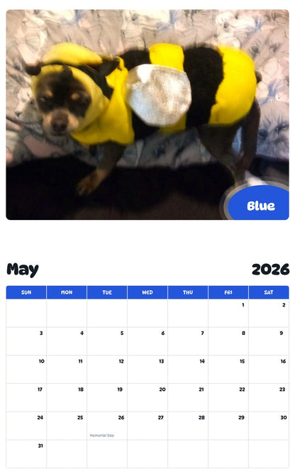 2026 - 2027 Blue - Pawidols Pet Calendar