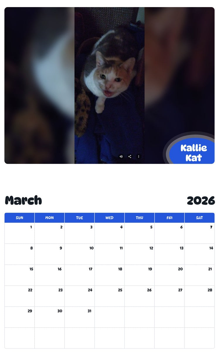November 2025 - October 2026 Kallie Kat - Pawidols Pet Calendar