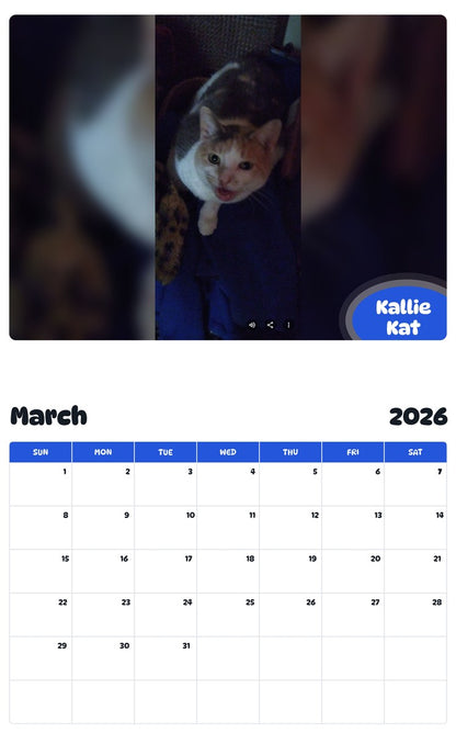 November 2025 - October 2026 Kallie Kat - Pawidols Pet Calendar