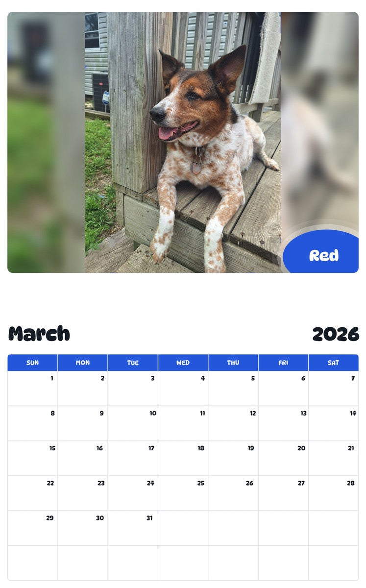 November 2025 - October 2026 Red - Pawidols Pet Calendar