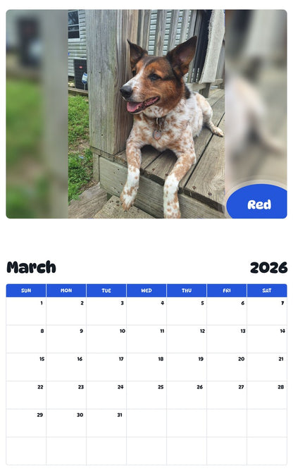 November 2025 - October 2026 Red - Pawidols Pet Calendar