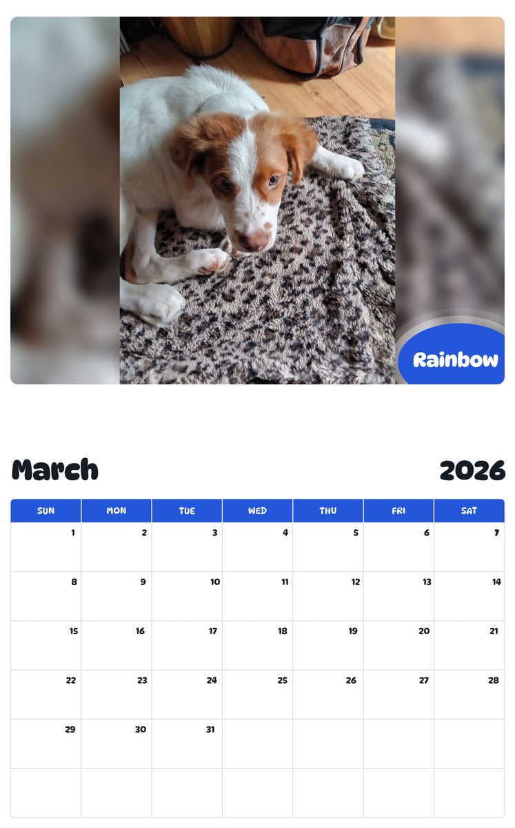 November 2025 - October 2026 Rainbow - Pawidols Pet Calendar