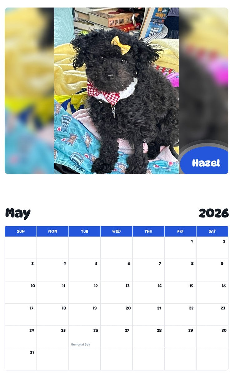 2026 - 2027 Hazel - Pawidols Pet Calendar