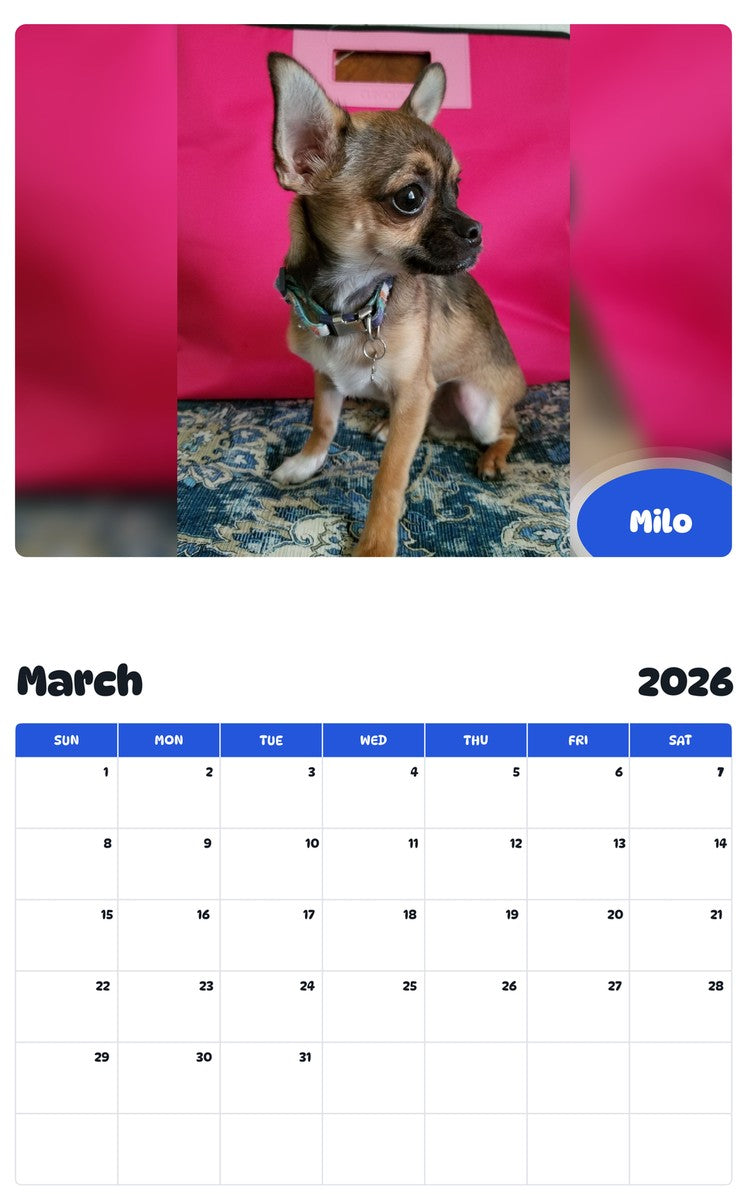November 2025 - October 2026 Milo - Pawidols Pet Calendar