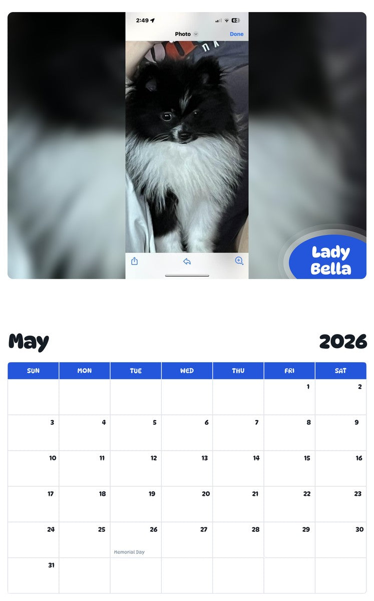 2026 - 2027 Lady Bella - Pawidols Pet Calendar