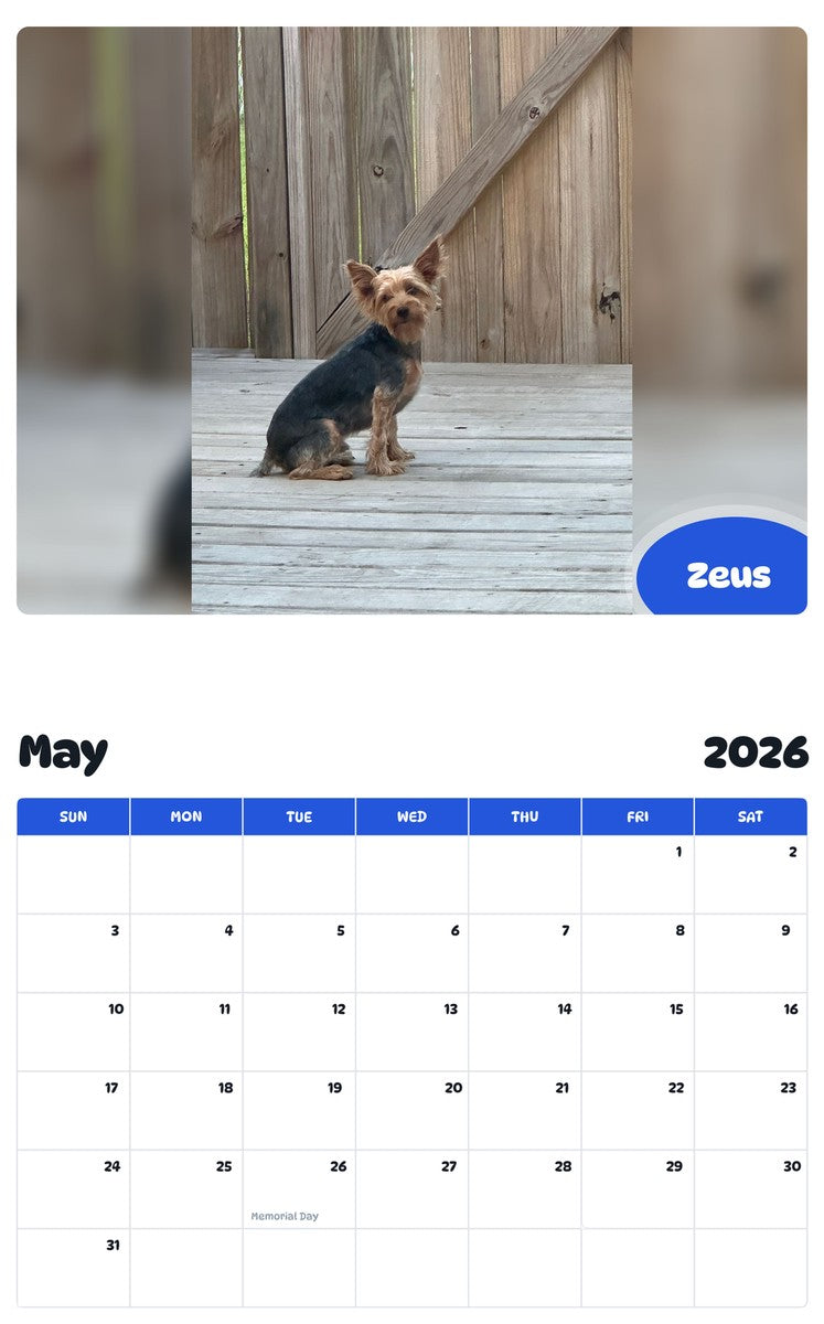 2026 - 2027 Zeus - Pawidols Pet Calendar