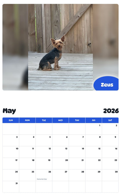 2026 - 2027 Zeus - Pawidols Pet Calendar