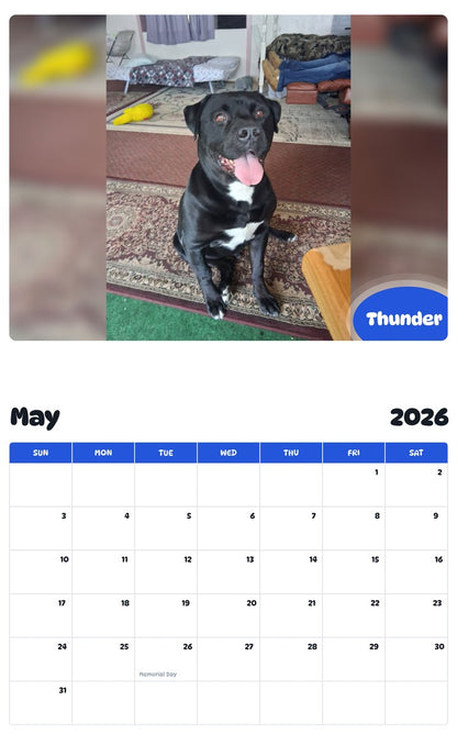 2026 - 2027 Thunder - Pawidols Pet Calendar