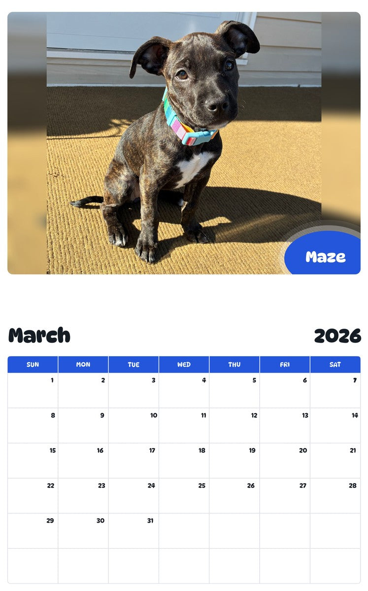 November 2025 - October 2026 Maze - Pawidols Pet Calendar