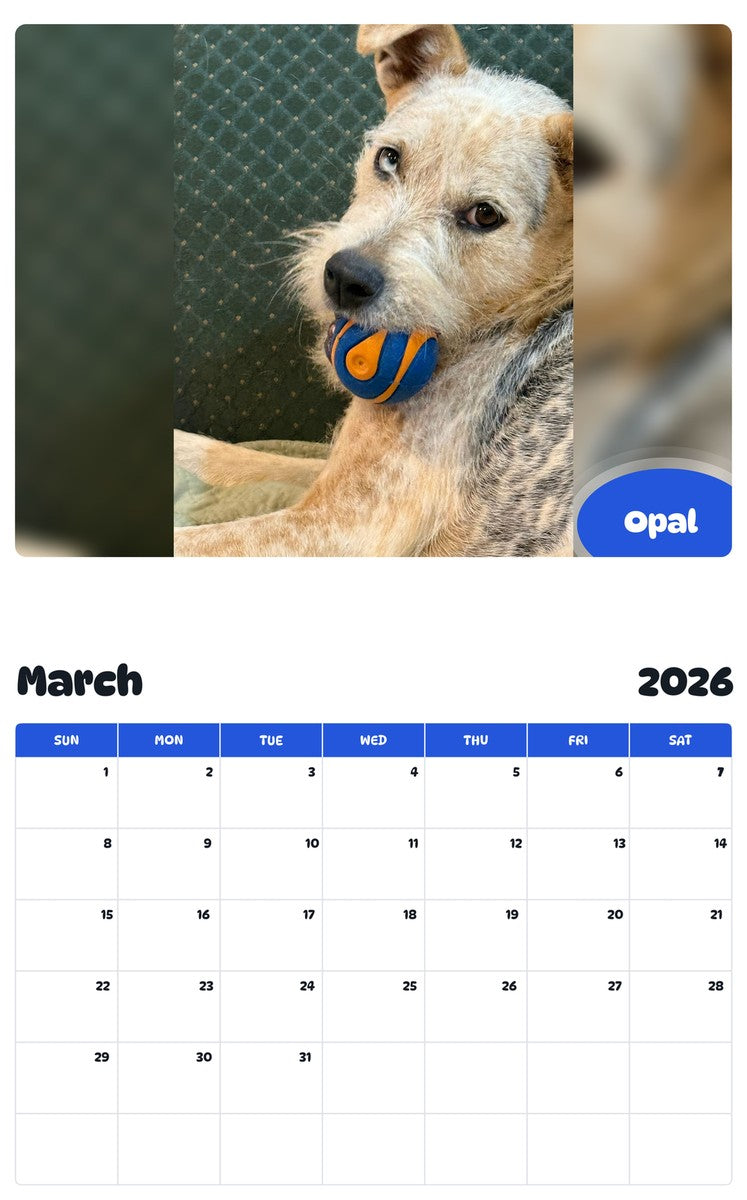 November 2025 - October 2026 Opal - Pawidols Pet Calendar