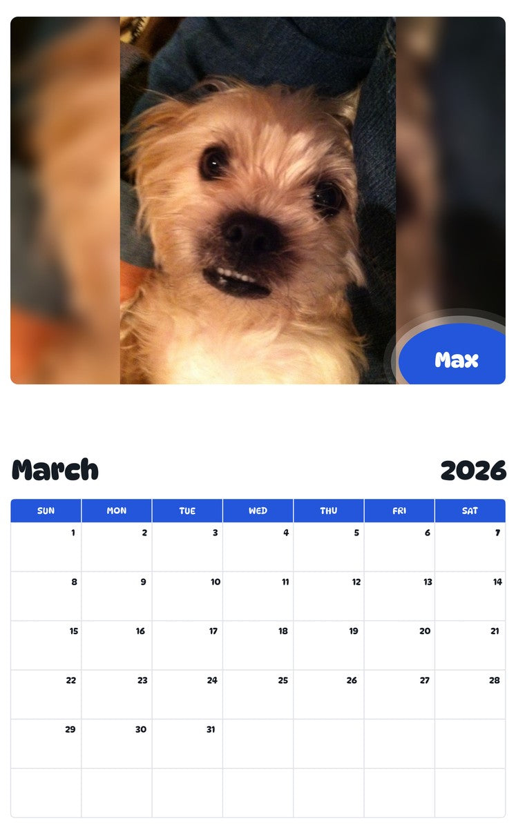 November 2025 - October 2026 Max - Pawidols Pet Calendar