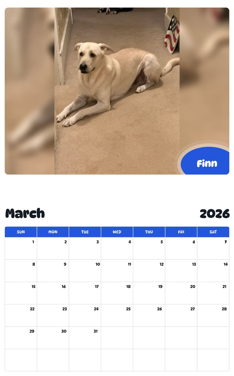 November 2025 - October 2026 Finn - Pawidols Pet Calendar