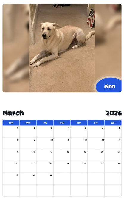 November 2025 - October 2026 Finn - Pawidols Pet Calendar
