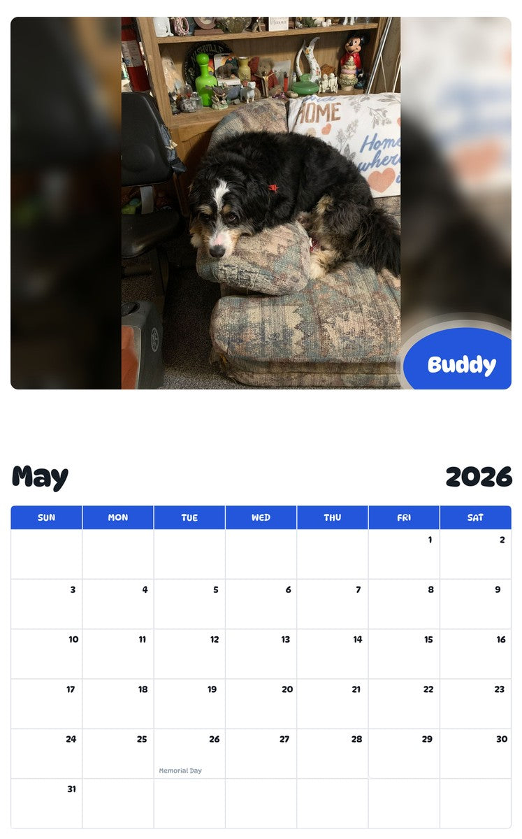 2026 - 2027 Buddy - Pawidols Pet Calendar