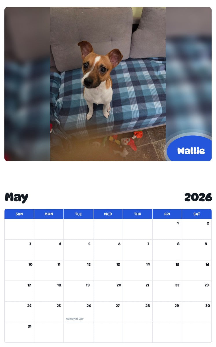 2026 - 2027 Wallie - Pawidols Pet Calendar