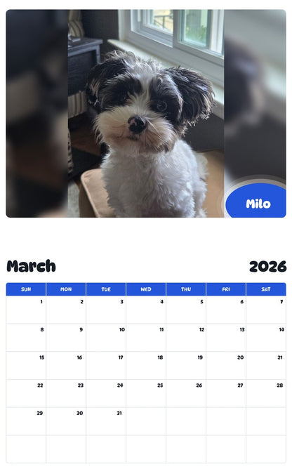 November 2025 - October 2026 Milo - Pawidols Pet Calendar