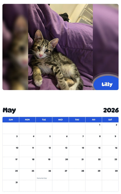 2026 - 2027 Lilly - Pawidols Pet Calendar