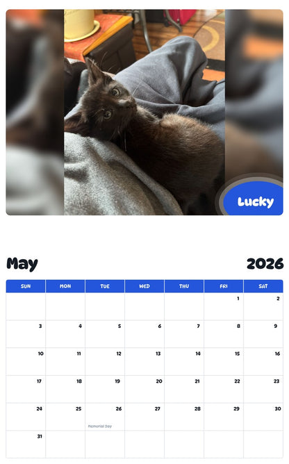 2026 - 2027 Lucky - Pawidols Pet Calendar