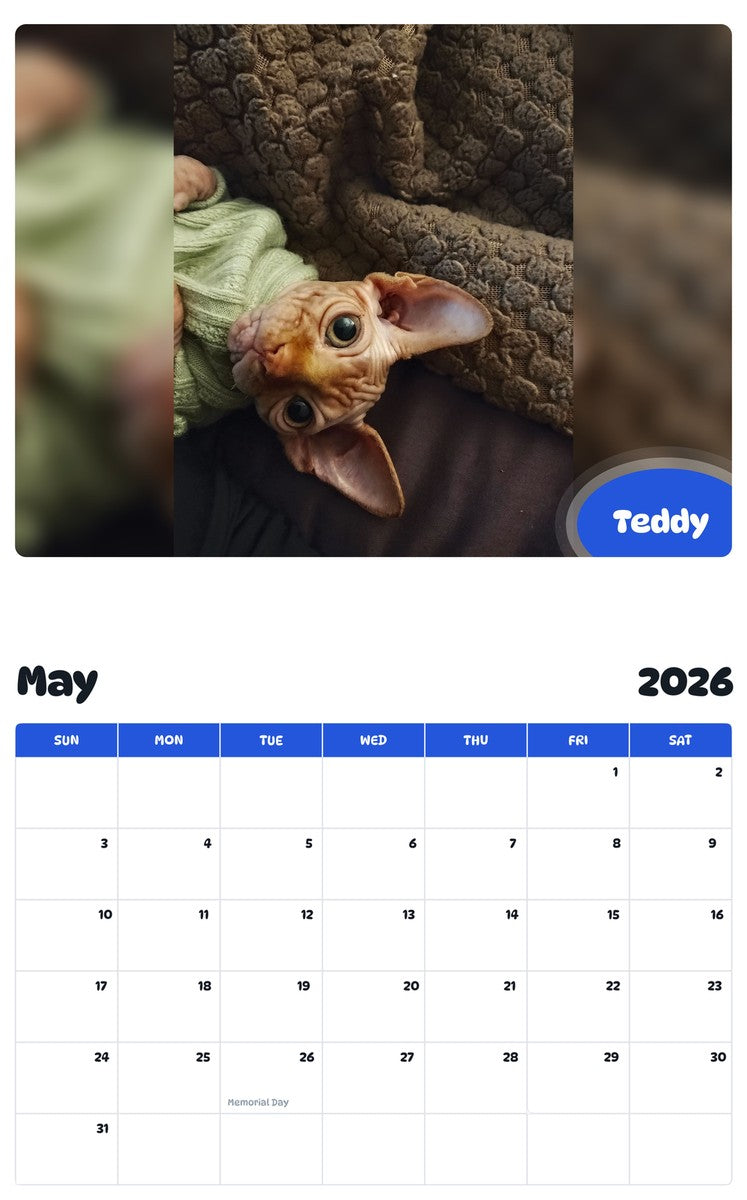 2026 - 2027 Teddy - Pawidols Pet Calendar