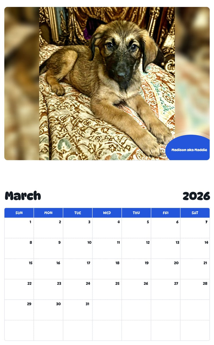 November 2025 - October 2026 Madison aka Maddie - Pawidols Pet Calendar
