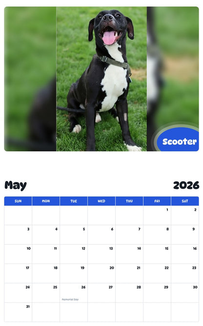 2026 - 2027 Scooter - Pawidols Pet Calendar