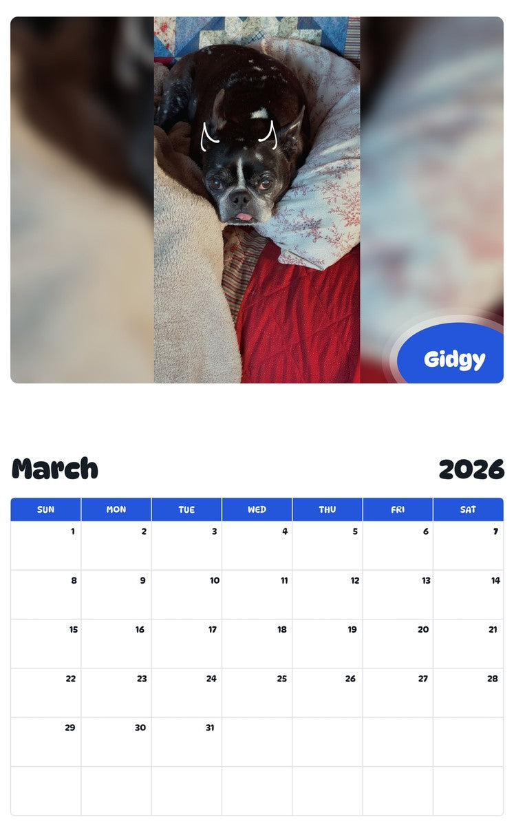 November 2025 - October 2026 Gidgy - Pawidols Pet Calendar