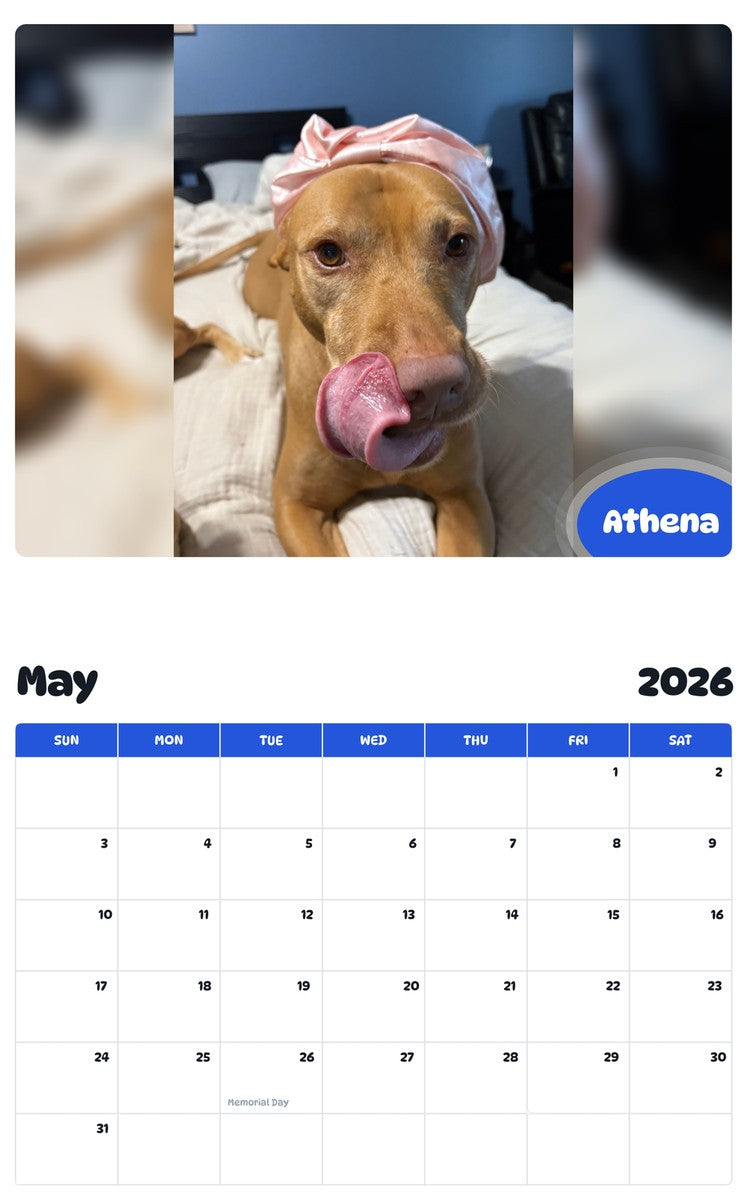 2026 - 2027 Athena - Pawidols Pet Calendar