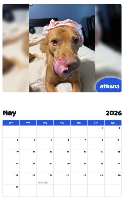 2026 - 2027 Athena - Pawidols Pet Calendar