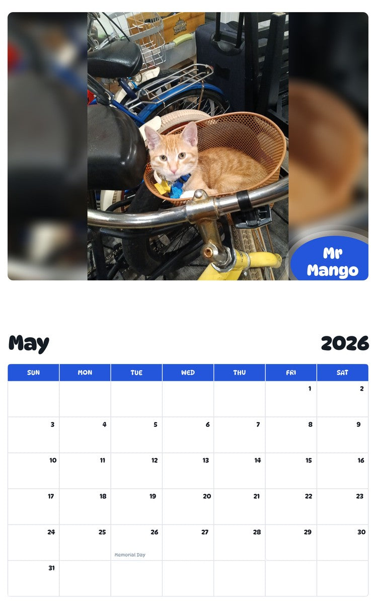 2026 - 2027 Mr Mango - Pawidols Pet Calendar