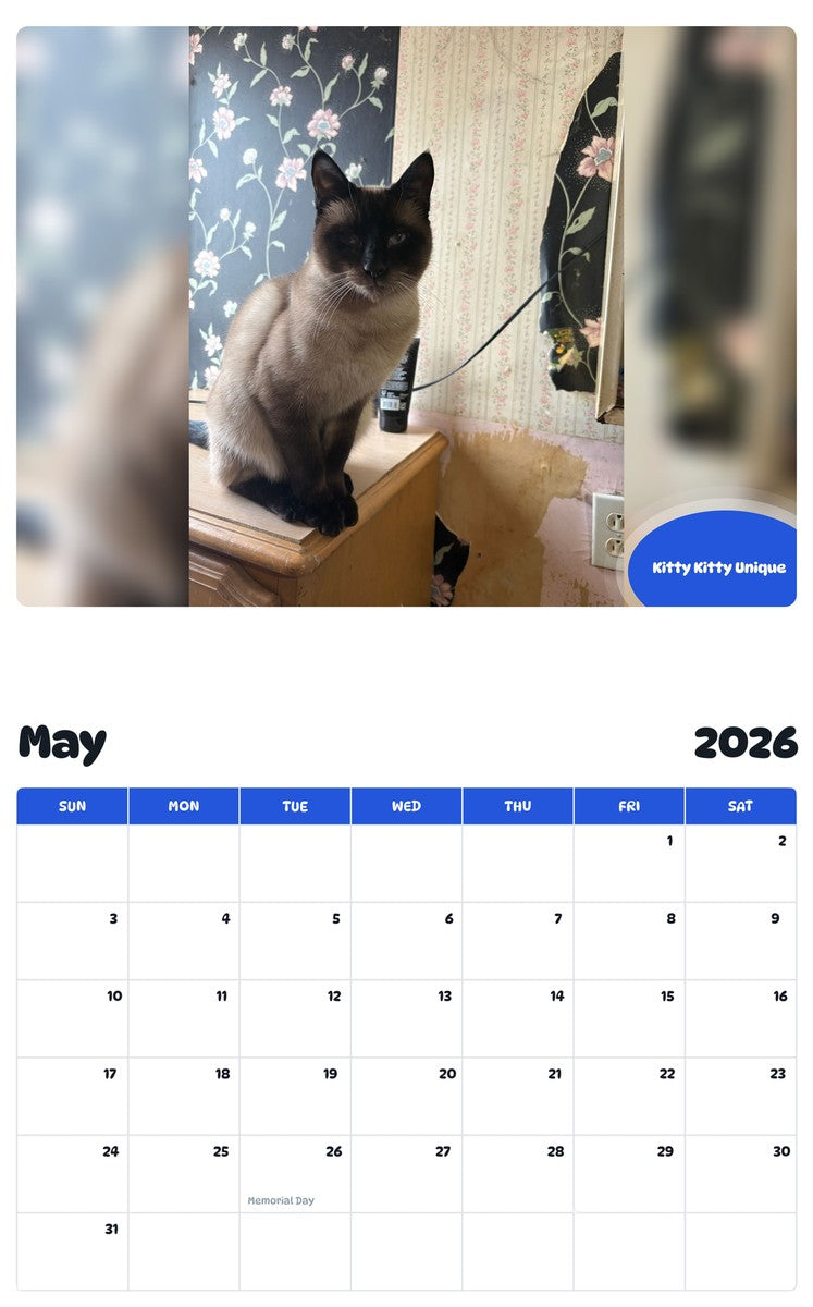 2026 - 2027 Kitty Kitty Unique - Pawidols Pet Calendar