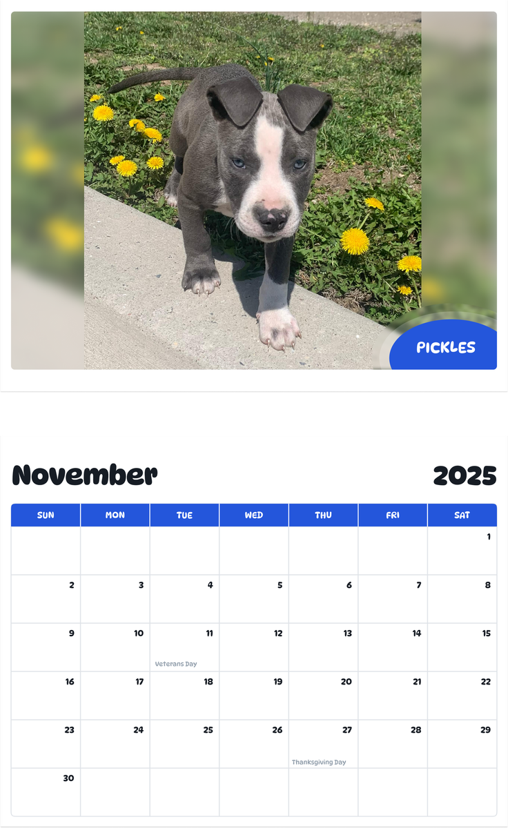 July 2025 - June 2026 Pickles - Pawidols Pet Calendar