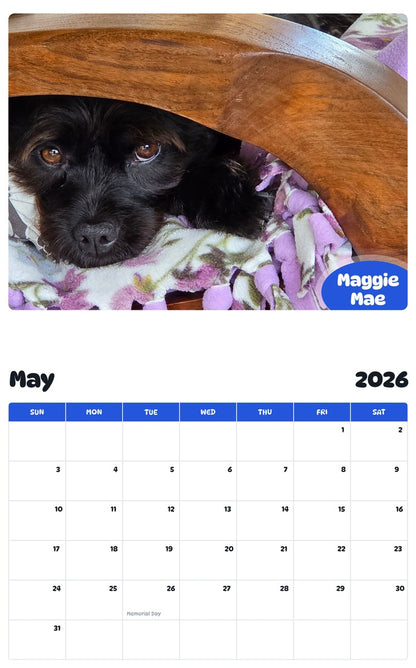 2026 - 2027 Maggie Mae - Pawidols Pet Calendar