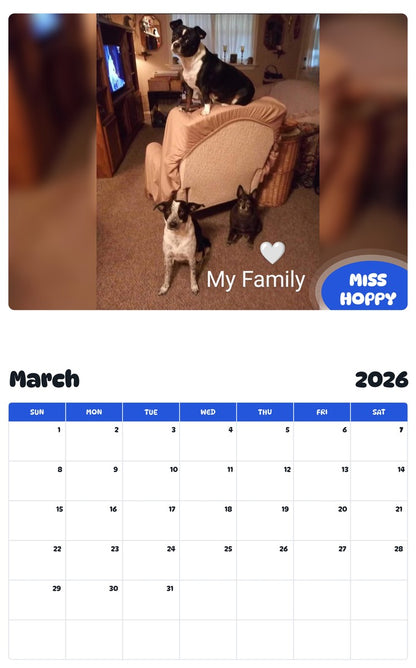 November 2025 - October 2026 MISS HOPPY - Pawidols Pet Calendar