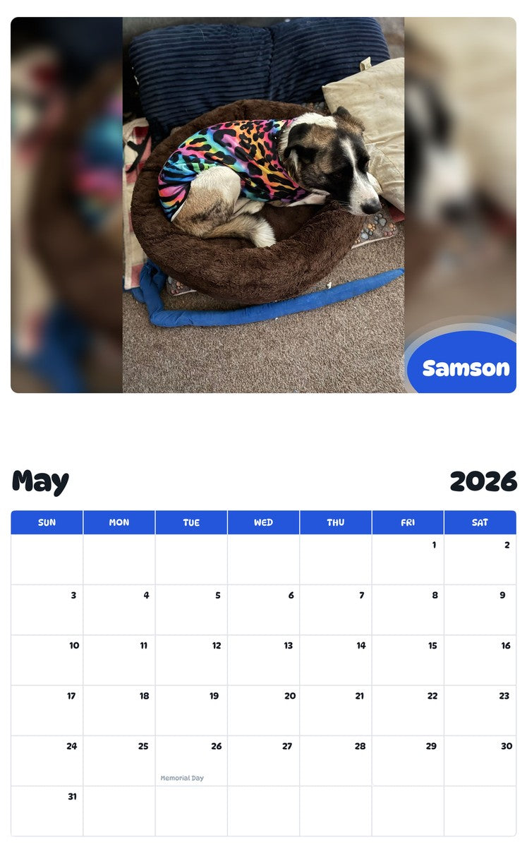 2026 - 2027 Samson - Pawidols Pet Calendar