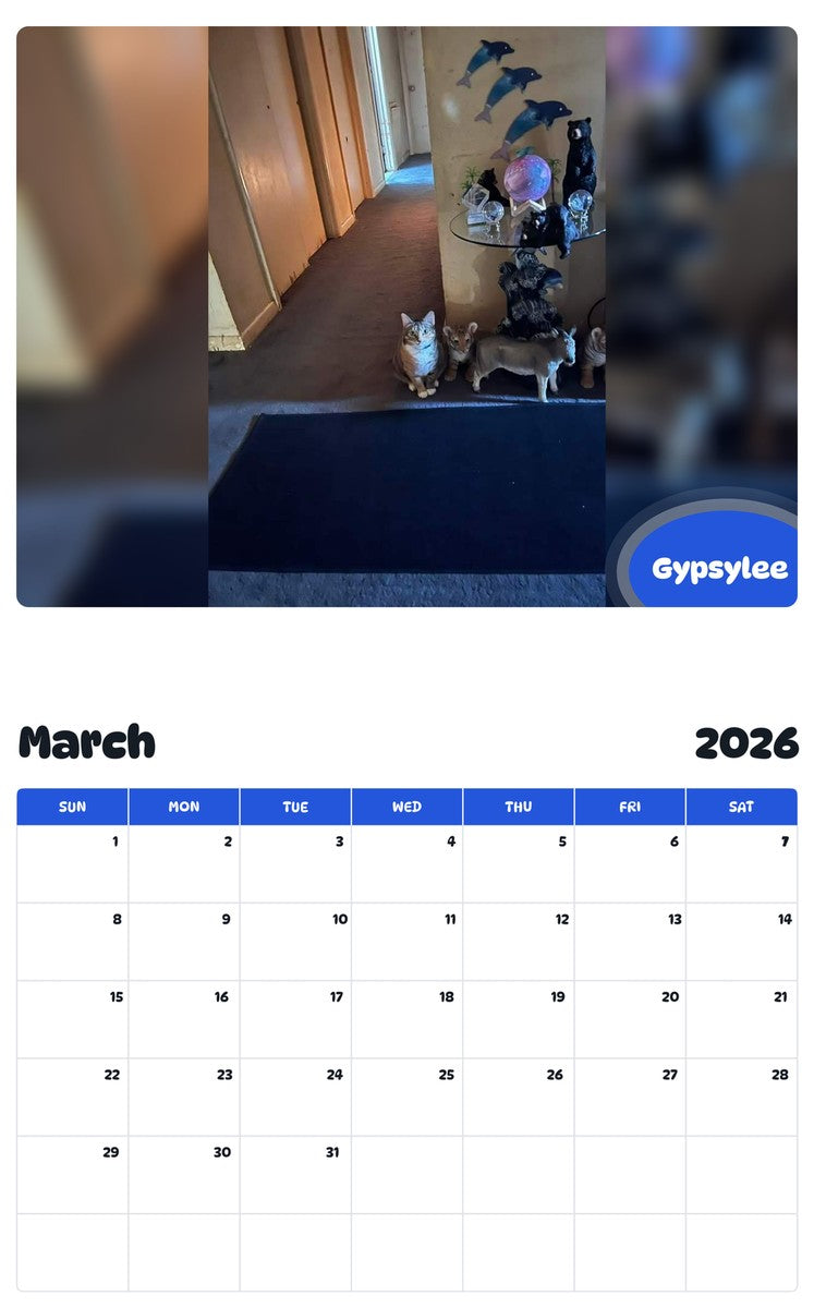 November 2025 - October 2026 Gypsylee - Pawidols Pet Calendar