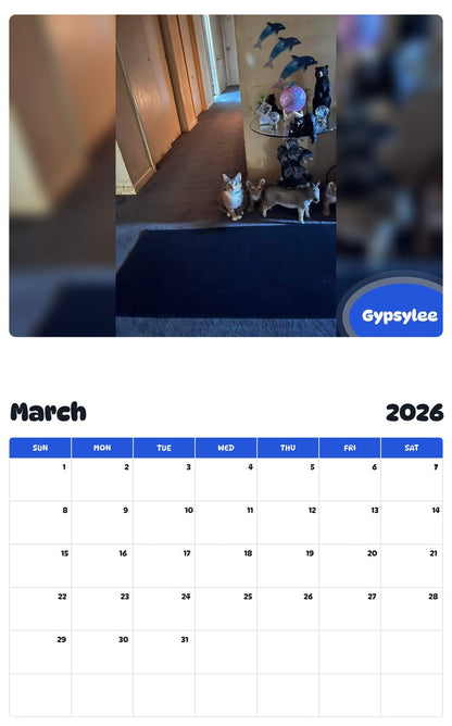November 2025 - October 2026 Gypsylee - Pawidols Pet Calendar