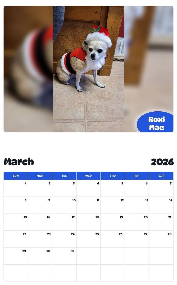 November 2025 - October 2026 Roxi Mae - Pawidols Pet Calendar