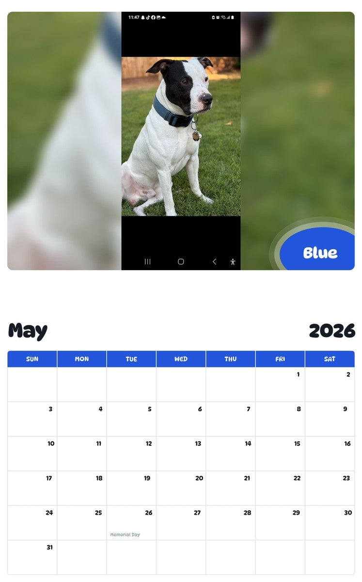 2026 - 2027 Blue - Pawidols Pet Calendar