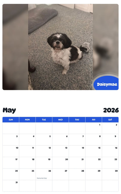 2026 - 2027 Daisymae - Pawidols Pet Calendar