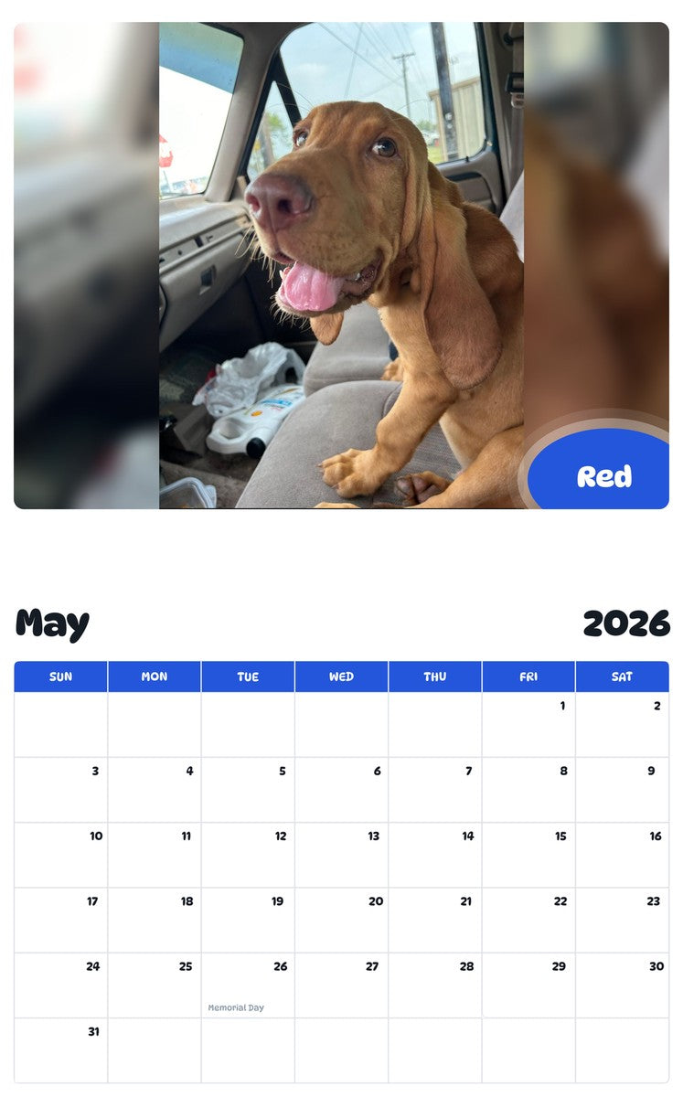 2026 - 2027 Red - Pawidols Pet Calendar